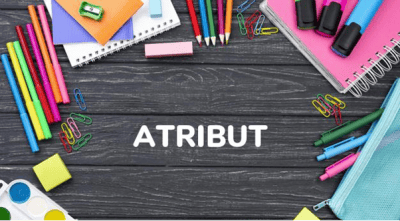 Jenis-Jenis Atribut di Dalam Data Mining : Arti Atribut Nominal, Komposit, Multi Nilai, dan Turunan 